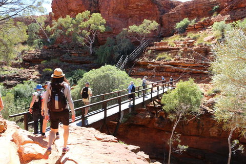 Kings Canyon Day Trip From Ayers Rock - Accommodation BNB 19