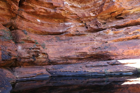 Kings Canyon Day Trip From Ayers Rock - Accommodation BNB 16