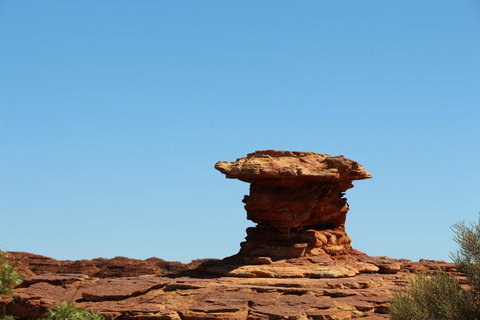 Kings Canyon Day Trip From Ayers Rock - Accommodation BNB 17