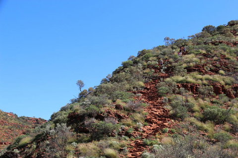 Kings Canyon Day Trip From Ayers Rock - Accommodation BNB 21
