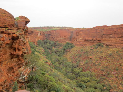 Kings Canyon Day Trip From Ayers Rock - Accommodation BNB 13
