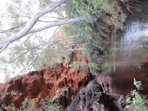 Kings Canyon Day Trip From Ayers Rock - Accommodation BNB 11
