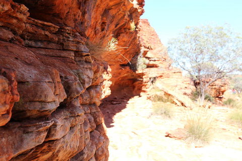 Kings Canyon Day Trip From Ayers Rock - Accommodation BNB 20