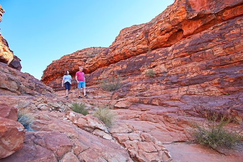 Kings Canyon Day Trip From Ayers Rock - Accommodation BNB 31