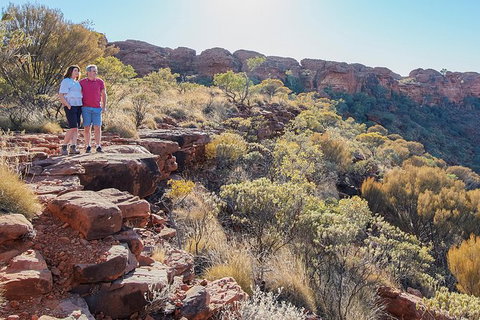 Kings Canyon Day Trip From Ayers Rock - Accommodation BNB 26