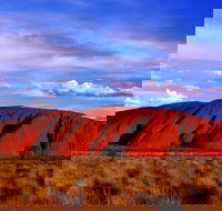 Uluru and Kata Tjuta Experience with BBQ Dinner - Accommodation BNB
