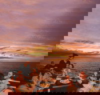 Darwin Harbour Sunset Cruise with Optional Buffet Dinner - Accommodation BNB