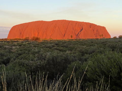 Uluru (Ayers Rock) Sunset With Outback Barbecue Dinner And Star Tour - Accommodation BNB 5