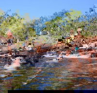 Litchfield and Jumping Crocodiles Full Day Trip from Darwin - Accommodation BNB