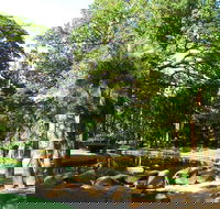 Darwin Afternoon Sightseeing Tour - Accommodation BNB