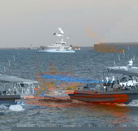 1-Hour Darwin Harbour Highlights Cruise - Accommodation BNB