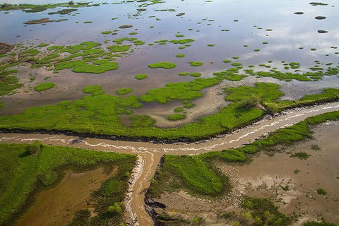 Kakadu National Park Scenic Flight - Accommodation BNB 10