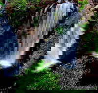 Litchfield Dreams 1 Day National Park Waterfall Swimming  Jumping Croc Cruise - Accommodation BNB