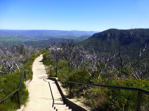 All Inclusive Blue Mountains Small-Group Day Trip From Sydney - Accommodation BNB 9