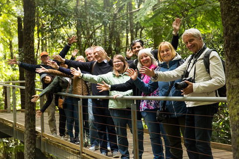 All Inclusive Blue Mountains Small-Group Day Trip From Sydney - Accommodation BNB 30
