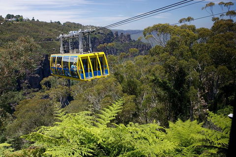 Go Sydney Explorer Pass With Hop-on Hop-Off Bus, Taronga Zoo And More - Accommodation BNB 10