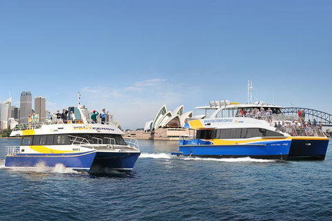 Go Sydney Explorer Pass With Hop-on Hop-Off Bus, Taronga Zoo And More - Accommodation BNB 7