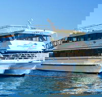 Christmas Day 3 hour Sydney Harbour Lunch Cruise inc. Christmas Buffet and DJ - Accommodation BNB