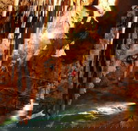 Jenolan Caves and Blue Mountains Tour from Sydney - Accommodation BNB
