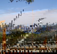 Sydney Taronga Zoo's Australian Animals Tour - Accommodation BNB