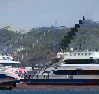 Sydney Boxing Day Cruise 2019 - Accommodation BNB