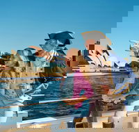 Sydney Harbour Highlights Cruise - Accommodation BNB