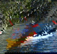 Kayak and SUP Guided Tours - Accommodation BNB