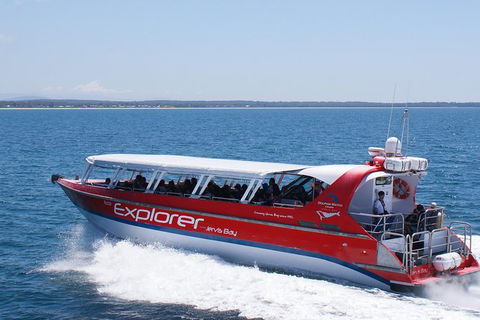 Whale Watching Jervis Bay - Accommodation BNB 1