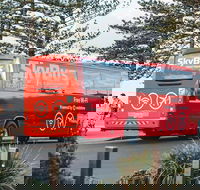 SkyBus Byron Bay Express - Accommodation BNB