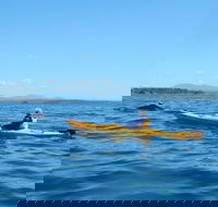 Whale Watching by Sea Kayak in Batemans Bay - Accommodation BNB