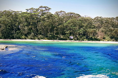 Jervis Bay Passage Tour - Accommodation BNB 1