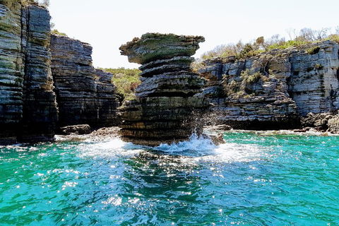Jervis Bay Passage Tour - Accommodation BNB 15