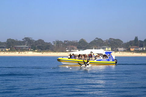 Jervis Bay Passage Tour - Accommodation BNB 16
