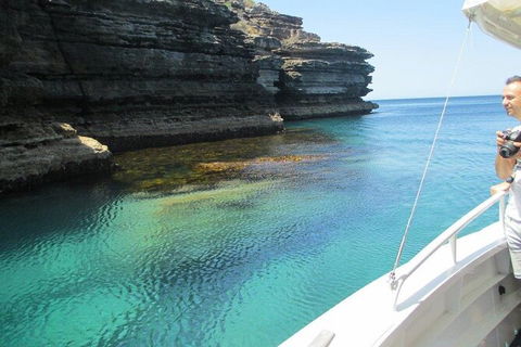 Jervis Bay Passage Tour - Accommodation BNB 14