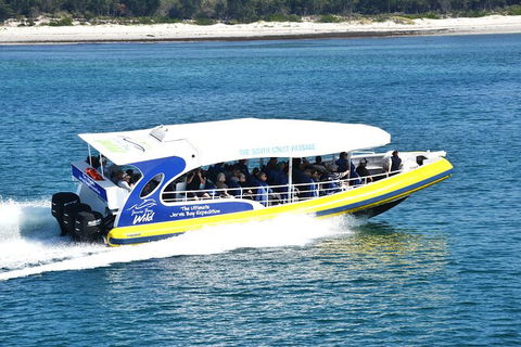 Jervis Bay Passage Tour - Accommodation BNB 11