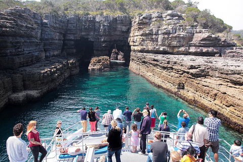 Jervis Bay Passage Tour - Accommodation BNB 3