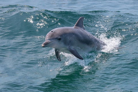 Jervis Bay Passage Tour - Accommodation BNB 12
