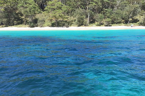 Jervis Bay Passage Tour - Accommodation BNB 5