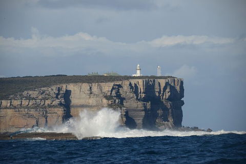 Jervis Bay Passage Tour - Accommodation BNB 8