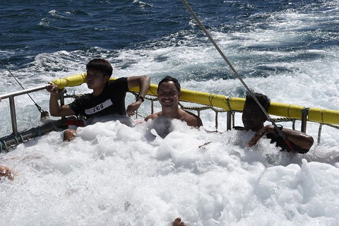 Jervis Bay Boom Netting And Dolphins Tour - Accommodation BNB 9