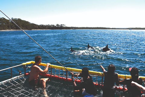 Jervis Bay Boom Netting And Dolphins Tour - Accommodation BNB 2