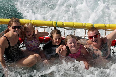 Jervis Bay Boom Netting And Dolphins Tour - Accommodation BNB 11
