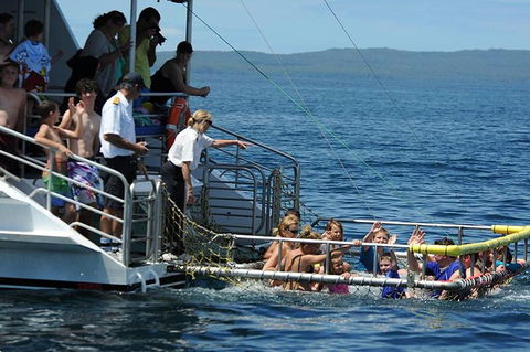 Jervis Bay Boom Netting And Dolphins Tour - Accommodation BNB 5