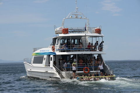 Jervis Bay Boom Netting And Dolphins Tour - Accommodation BNB 12