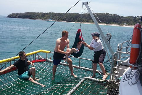 Jervis Bay Boom Netting And Dolphins Tour - Accommodation BNB 7