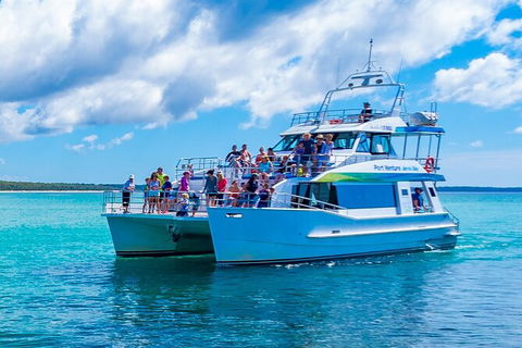 Jervis Bay Boom Netting And Dolphins Tour - Accommodation BNB 3
