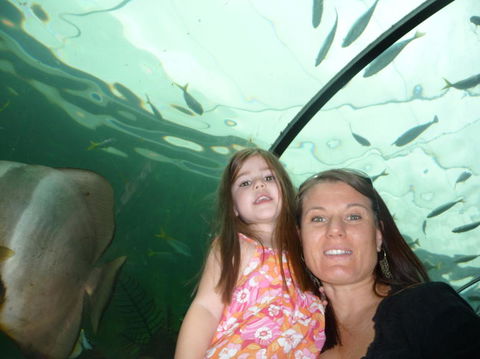 WILD LIFE Sydney Entrance Ticket - Accommodation BNB 4