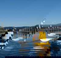 Batemans Bay Oyster Tasting Kayak Tour - Accommodation BNB
