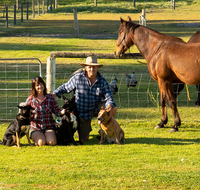 Meet The Animals - Accommodation BNB