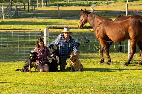 Meet The Animals - Accommodation BNB 0